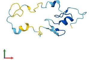 AlphaFold protein structure predicition of Mouse Recombinant Cript Protein, UniprotID O70333