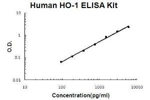 Human HO-1/HMOX1 PicoKine ELISA Kit standard curve (HMOX1 Kit ELISA)