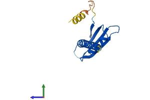 AlphaFold protein structure predicition of Mouse Recombinant Polr1d Protein, UniprotID P97304