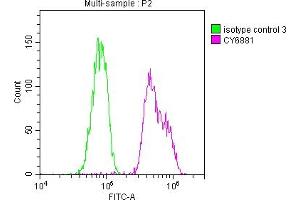 Overlay histogram showing Hela cells stained with ABIN7127374 (red line) at 1:50.