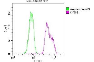 Overlay histogram showing Hela cells stained with ABIN7127374 (red line) at 1:50. (Recombinant BUB1B anticorps)