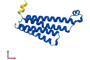 AlphaFold protein structure predicition of Human Recombinant PTGES Protein, UniprotID O14684