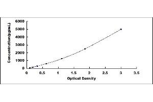 Typical standard curve (VGLL1 Kit ELISA)
