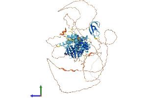 AlphaFold protein structure predicition of Mouse Recombinant Ksr1 Protein, UniprotID Q61097