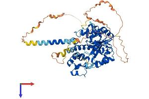AlphaFold protein structure predicition of Mouse Recombinant Chst2 Protein, UniprotID Q80WV3