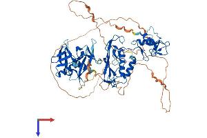 AlphaFold protein structure predicition of Human Recombinant DTX2 Protein, UniprotID Q86UW9