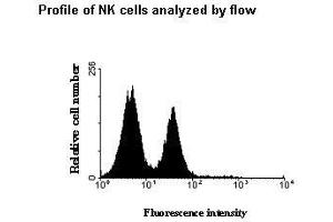 Flow Cytometry (FACS) image for anti-Killer Cell Immunoglobulin-Like Receptor, Two Domains, Long Cytoplasmic Tail, 3 (KIR2DL3) (AA 19-161) antibody (ABIN933927)