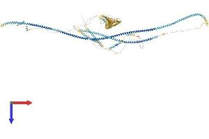 AlphaFold protein structure predicition of Mouse Recombinant Rrbp1 Protein, UniprotID Q99PL5