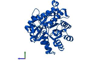AlphaFold protein structure predicition of Human Recombinant PTER Protein, UniprotID Q96BW5