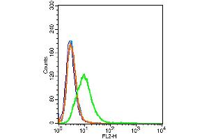 293T cells probed with CD59 Polyclonal Antibody, unconjugated  at 1:100 dilution for 30 minutes compared to control cells (blue) and isotype control (orange) (CD59 anticorps  (AA 52-100))