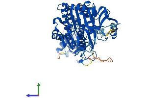 AlphaFold protein structure predicition of Human Recombinant UAP1 Protein, UniprotID Q16222
