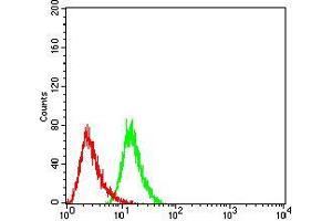 Flow cytometric analysis of Hela cells using UCP2 mouse mAb (green) and negative control (red).