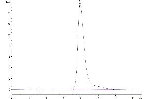 The purity of Human TRAIL R1 is greater than 95 % as determined by SEC-HPLC.