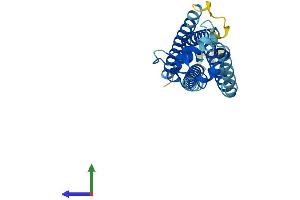 AlphaFold protein structure predicition of Mouse Recombinant Tspan3 Protein, UniprotID Q9QY33