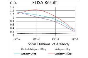 Fig. (Epsin 1 anticorps  (AA 106-254))