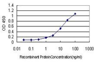 Detection limit for recombinant GST tagged LGMN is approximately 0. (LGMN anticorps  (AA 1-433))