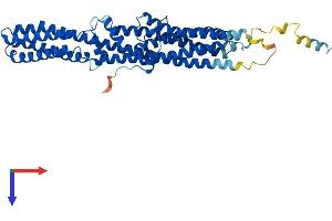 AlphaFold protein structure predicition of Human Recombinant TTYH1 Protein, UniprotID Q9H313