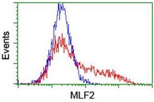 Flow Cytometry (FACS) image for anti-Myeloid Leukemia Factor 2 (MLF2) antibody (ABIN1499501) (MLF2 anticorps)