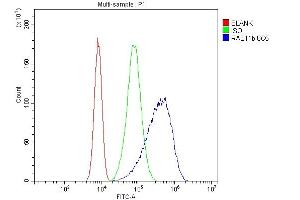 Flow Cytometry analysis of Caco-2 cells using anti-RAB11B antibody (ABIN7602766). (RAB11B anticorps  (C-Term))