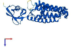 AlphaFold protein structure predicition of Human Recombinant TECR Protein, UniprotID Q9NZ01