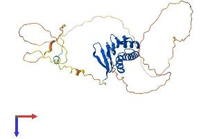 AlphaFold protein structure predicition of Human Recombinant TOB2 Protein, UniprotID Q14106