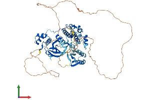 AlphaFold protein structure predicition of Human Recombinant MELK Protein, UniprotID Q14680