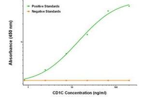 ELISA image for anti-T-cell surface glycoprotein CD1c (CD1C) antibody (ABIN2672085)