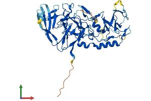 AlphaFold protein structure predicition of Mouse Recombinant Peli1 Protein, UniprotID Q8C669
