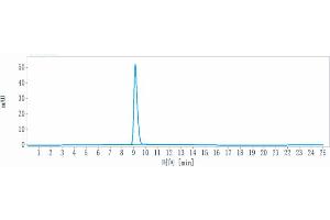 The purity of Anti-ERBB1 / EGFR / HER1 Reference Antibody (7A7) is more than 95 % , determined by SEC-HPLC.