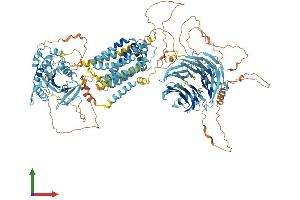 AlphaFold protein structure predicition of Mouse Recombinant Scap Protein, UniprotID Q6GQT6