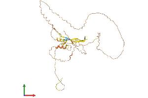 AlphaFold protein structure predicition of Human Recombinant PROCA1 Protein, UniprotID Q8NCQ7