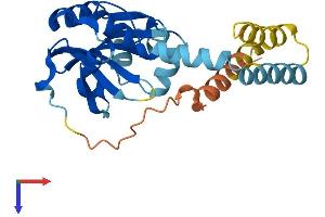 AlphaFold protein structure predicition of Mouse Recombinant Lrat Protein, UniprotID Q9JI60