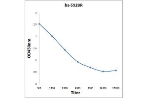 Antigen: 0. (Basc4 (AA 100-211) anticorps)