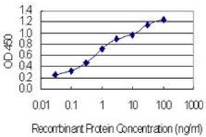 Detection limit for recombinant GST tagged CHCHD4 is 0. (CHCHD4 anticorps  (AA 1-142))