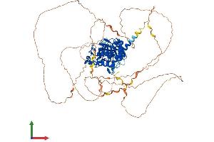 AlphaFold protein structure predicition of Mouse Recombinant Ptpn12 Protein, UniprotID P35831