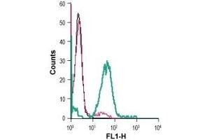 Cell surface detection of mGluR5 in live intact mouse BV-2 microglia cells: (black line) Cells.