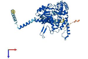 AlphaFold protein structure predicition of Human Recombinant SGPL1 Protein, UniprotID O95470