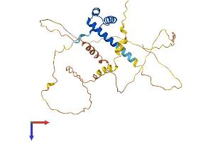 AlphaFold protein structure predicition of Human Recombinant PHOX2B Protein, UniprotID Q99453