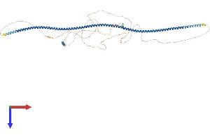 AlphaFold protein structure predicition of Mouse Recombinant Ccdc62 Protein, UniprotID E9PVD1