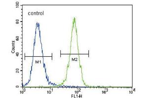 Flow Cytometry (FACS) image for anti-Discoidin Domain Receptor tyrosine Kinase 1 (DDR1) antibody (ABIN3003394) (DDR1 anticorps)