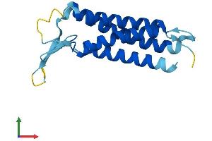 AlphaFold protein structure predicition of Mouse Recombinant Pmp22 Protein, UniprotID P16646
