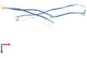 AlphaFold protein structure predicition of Human Recombinant CCDC170 Protein, UniprotID Q8IYT3