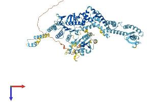 AlphaFold protein structure predicition of Mouse Recombinant Msh5 Protein, UniprotID Q9QUM7