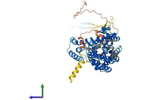 AlphaFold protein structure predicition of Human Recombinant SLC1A7 Protein, UniprotID O00341