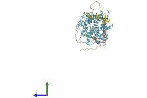 AlphaFold protein structure predicition of Human Recombinant ZNF257 Protein, UniprotID Q9Y2Q1
