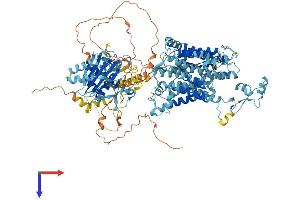 AlphaFold protein structure predicition of Mouse Recombinant Slc4a8 Protein, UniprotID Q8JZR6