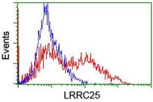 HEK293T cells transfected with either RC209911 overexpress plasmid (Red) or empty vector control plasmid (Blue) were immunostained by anti-LRRC25 antibody (ABIN2455879), and then analyzed by flow cytometry. (LRRC25 anticorps)