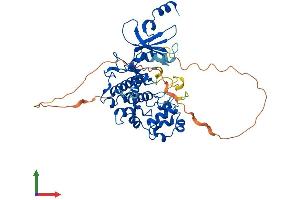 AlphaFold protein structure predicition of Mouse Recombinant Cdk8 Protein, UniprotID Q8R3L8