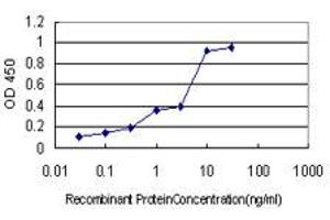 Detection limit for recombinant GST tagged PIN1 is approximately 0.
