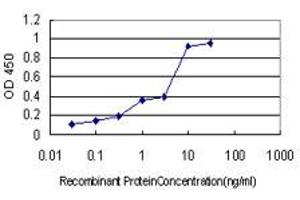 Detection limit for recombinant GST tagged PIN1 is approximately 0. (PIN1 anticorps  (AA 64-163))